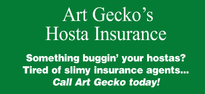 Art Gecko's Hosta Insurance